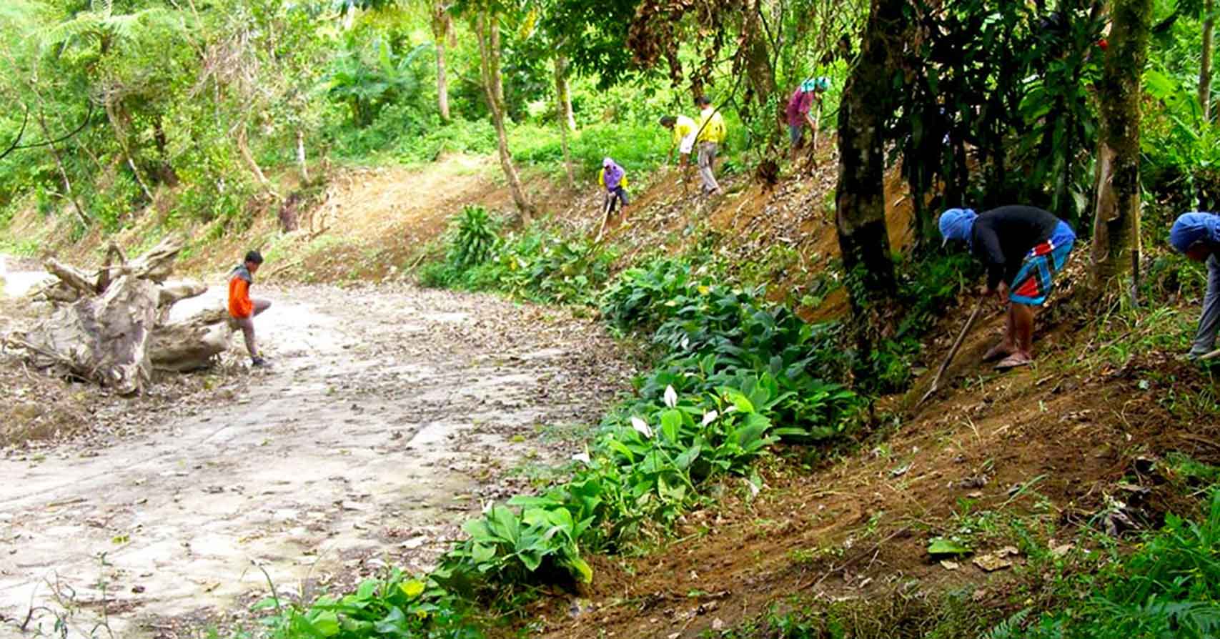 dbcci erosion control project in mt patag silay city